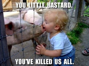 Swine Flu: How it started